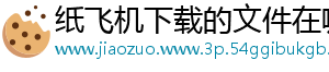纸飞机下载的文件在哪里